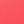 02 Hase Rosa