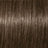 Deep Chestnut