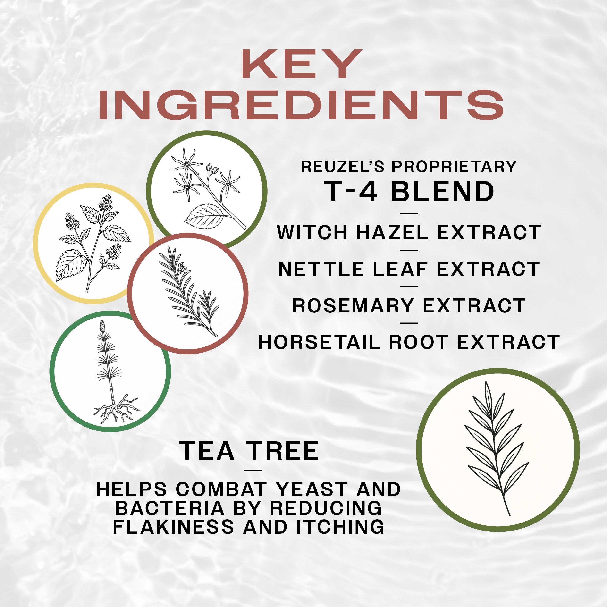 REUZEL 3in1 TEA TREE Shampoo für Haar, Kopfhaut und Körper 100 ml #5